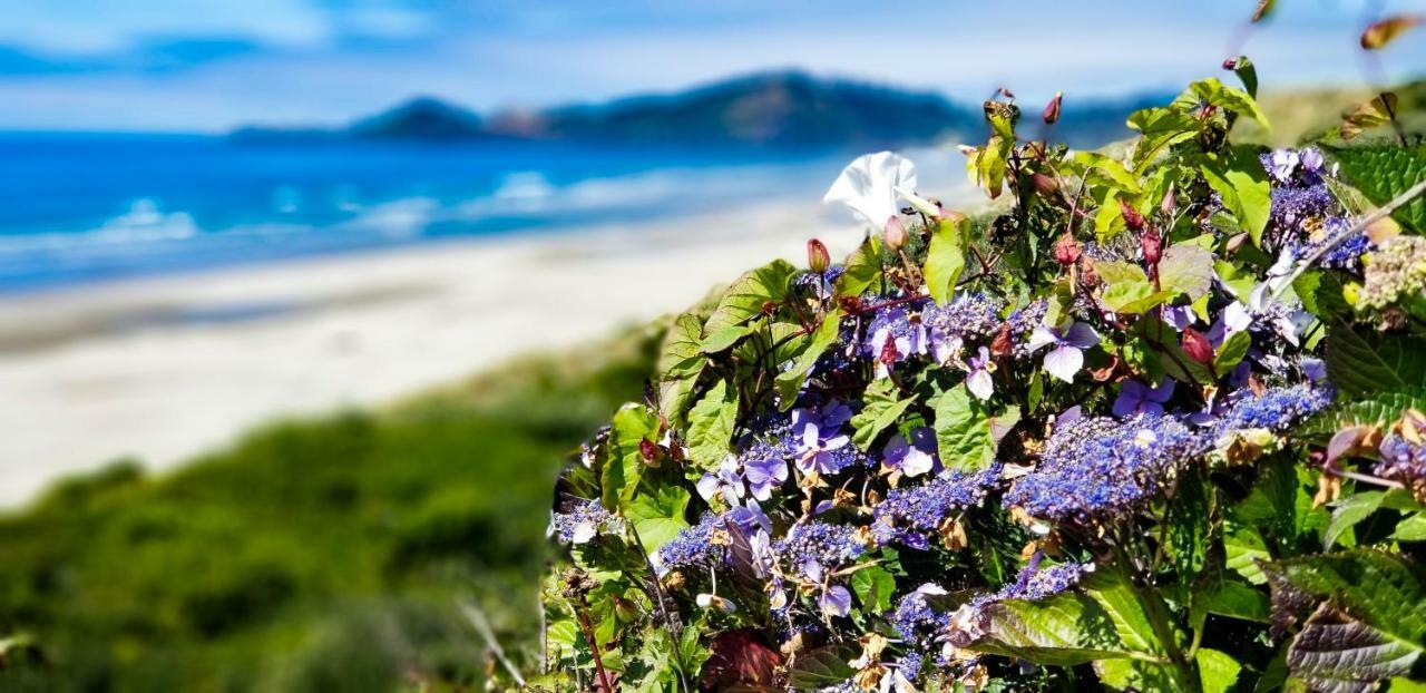 Nye Beach Cottages Newport Ngoại thất bức ảnh